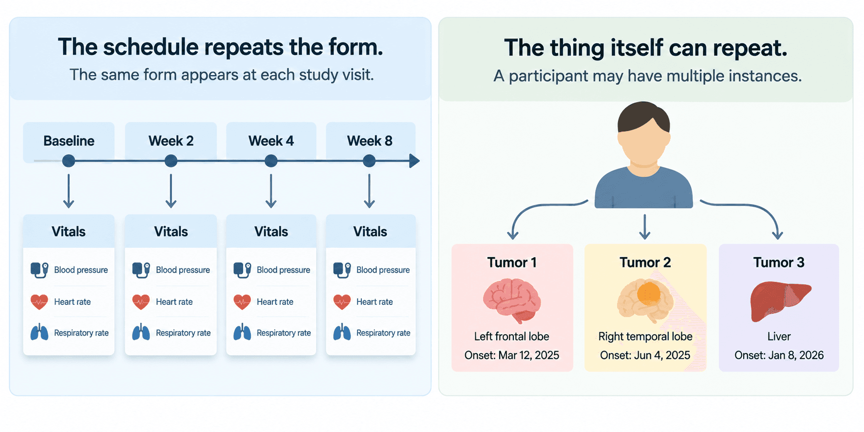 Side-by-side panels. Left, the schedule repeats the form: a Vitals form appears at Baseline, Week 2, Week 4 and Week 8, each collecting blood pressure, heart rate and respiratory rate. Right, the thing itself can repeat: one participant branches to Tumor 1 in the left frontal lobe, Tumor 2 in the right temporal lobe and Tumor 3 in the liver, each with its own onset date.